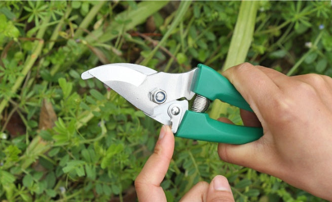 "10-Piece Gardening Tool Set – Complete Hand Tools Kit for Planting, Pruning & Digging"