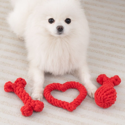 "Anti-Stuffy Puppy Pet Supplies – Comfortable Breathable Gear for Small Dogs"